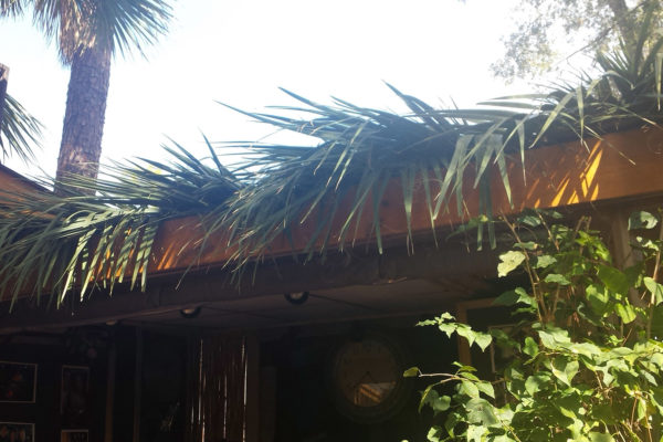 tiki thatched roofs palm roofs canopies 12